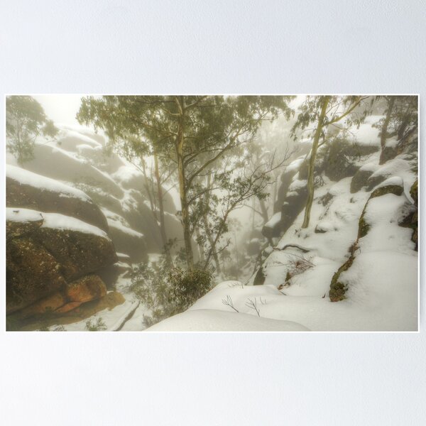 Item preview, Trees and cliffs in mist designed and sold by Kevin McGennan.