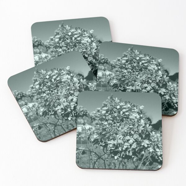 Item preview, Panicle Hydrangea in the Fall designed and sold by Mothe3rd.