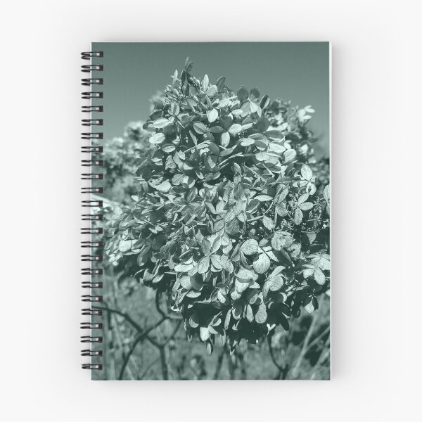 Item preview, Panicle Hydrangea in the Fall designed and sold by Mothe3rd.