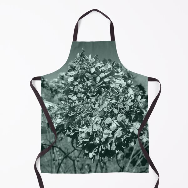 Item preview, Panicle Hydrangea in the Fall designed and sold by Mothe3rd.