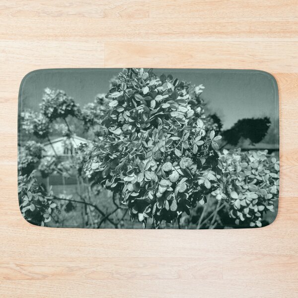 Item preview, Panicle Hydrangea in the Fall designed and sold by Mothe3rd.