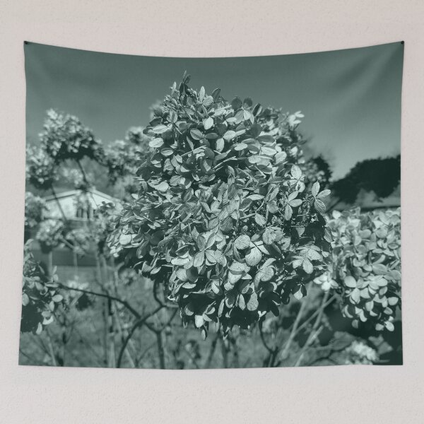Item preview, Panicle Hydrangea in the Fall designed and sold by Mothe3rd.