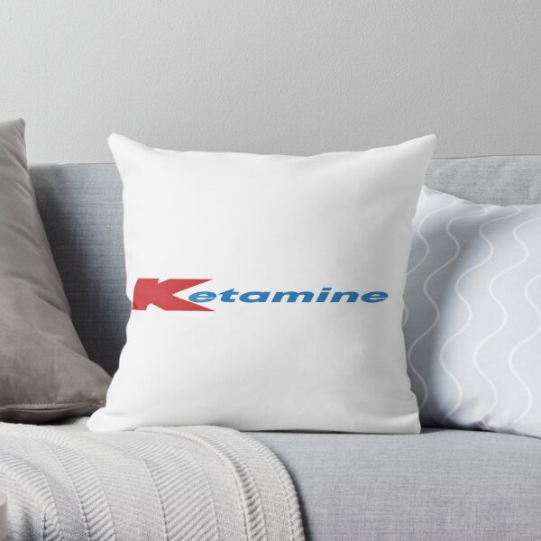 Kmart couch outlet pillows