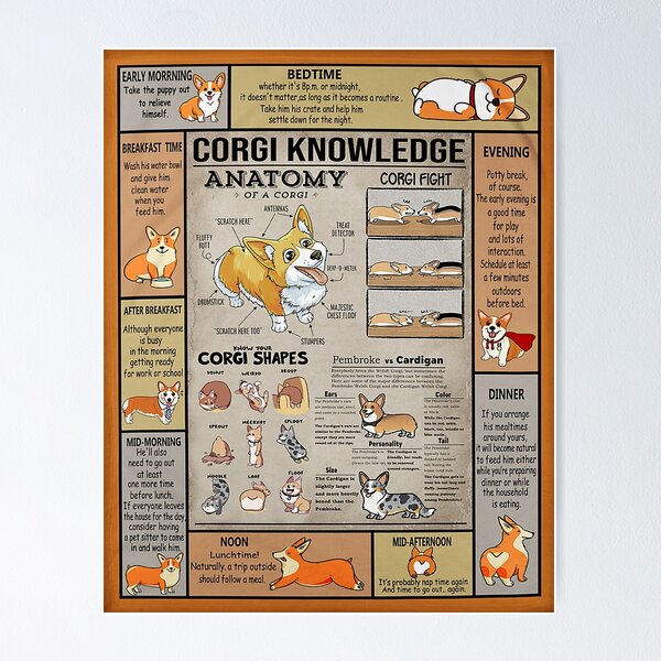 Artikel-Vorschau von Corgi Knowledge-Gigapixel, designt und verkauft von Fufufuru.