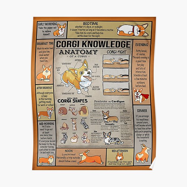 Corgi Knowledge-gigapixel Poster