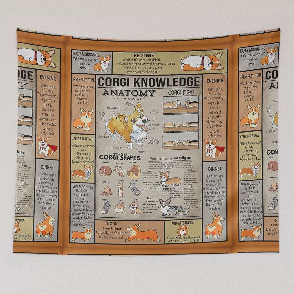 Item preview, Corgi Knowledge-gigapixel designed and sold by Fufufuru.
