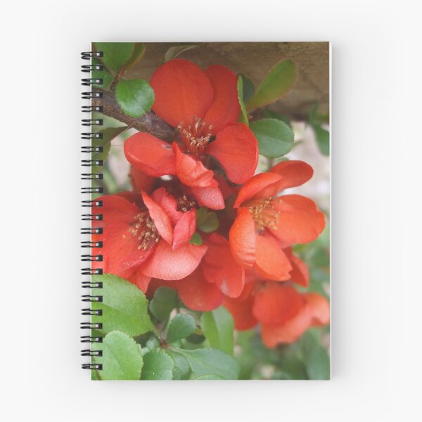 Item preview, Red Flowers. designed and sold by SpicedAlien.