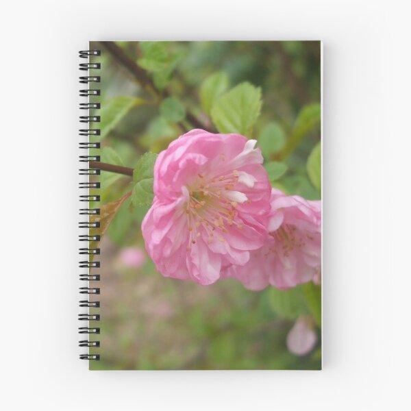 Artikelvorschau, Pinke Blumen. entworfen und verkauft von SpicedAlien.