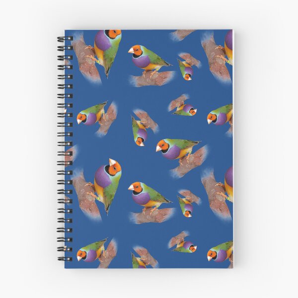 Item preview, Gouldian Finch - Exclusive Photography by Brisbane Birds designed and sold by BrisbaneBirds.
