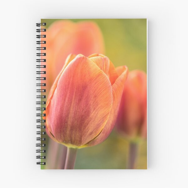 Item preview, Three tulips designed and sold by Judi Lion.