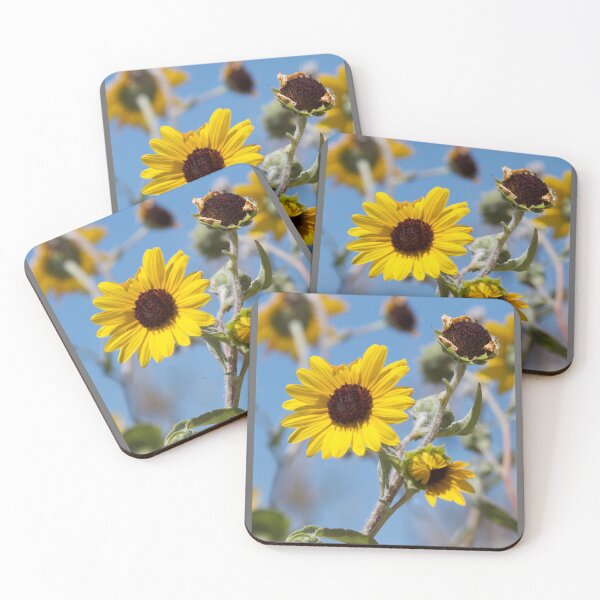 Item preview, Coastal Sunflowers  designed and sold by MargsNaturePix.