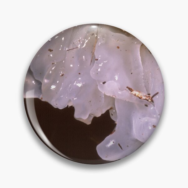 Item preview, Jelly Fungus designed and sold by GP1746.