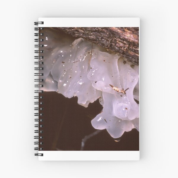 Item preview, Jelly Fungus designed and sold by GP1746.