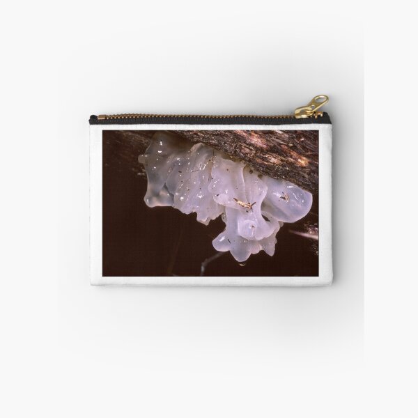 Item preview, Jelly Fungus designed and sold by GP1746.