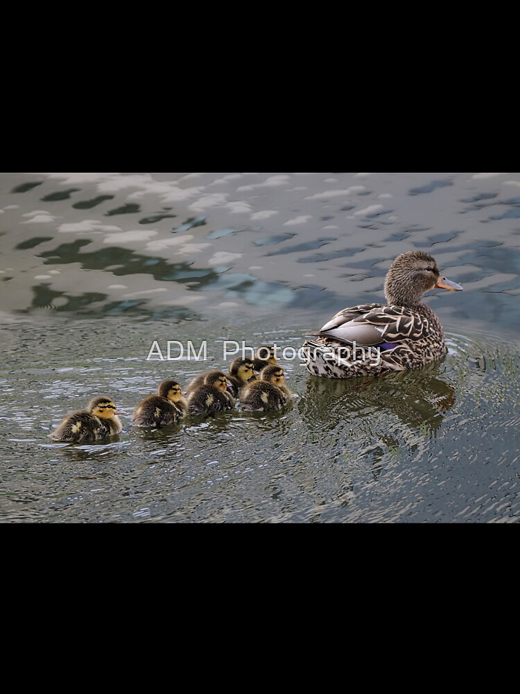 Ducklings Following Mom Duck Kids T Shirt By Dai Boo Redbubble