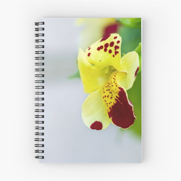 Item preview, Yellow flower macro designed and sold by Geraldas Galinauskas.