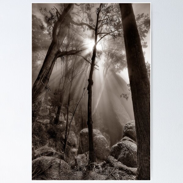 Item preview, Clearing mist, Mount Buffalo designed and sold by Kevin McGennan.