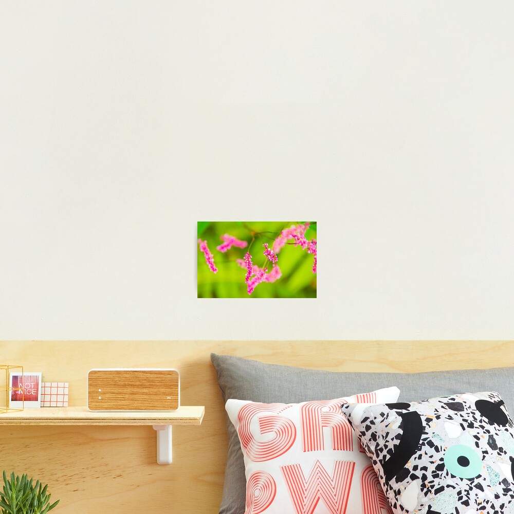 Item preview, Photographic Print designed and sold by RShoko.