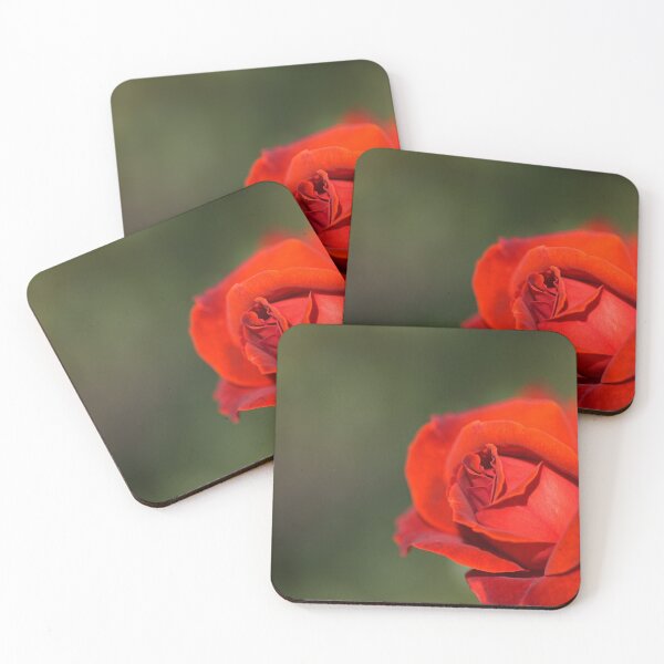 Item preview, Red And Romance Rose  designed and sold by Joy Watson - Natural Light Photography .