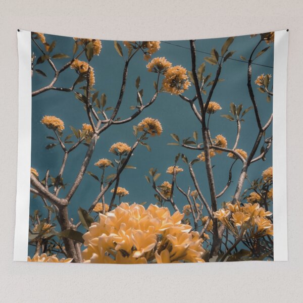 Item preview, Frangipani flowers  designed and sold by shellagrash.