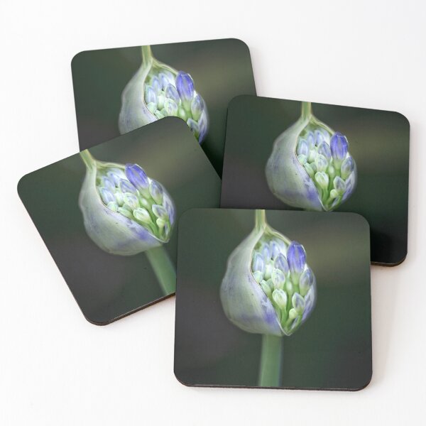 Item preview, Emerging Agapanthus Flower designed and sold by Catherine Reading.