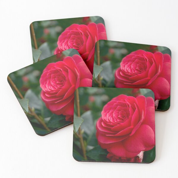 Item preview, Camellia Flower designed and sold by Alisonchambers2.