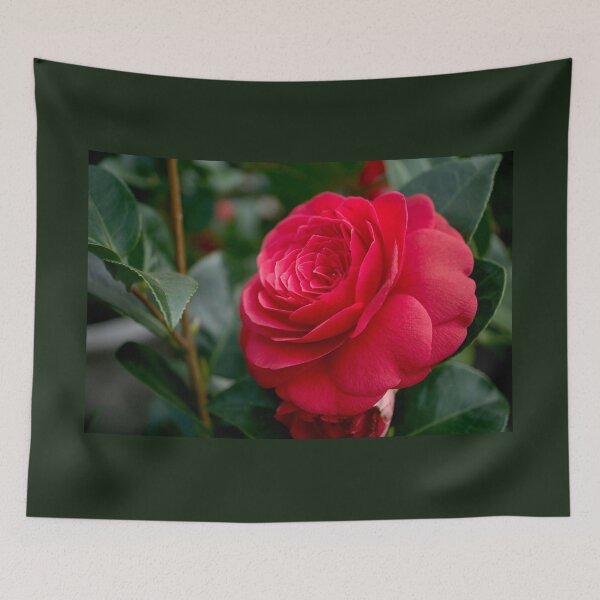 Item preview, Camellia Flower designed and sold by Alisonchambers2.