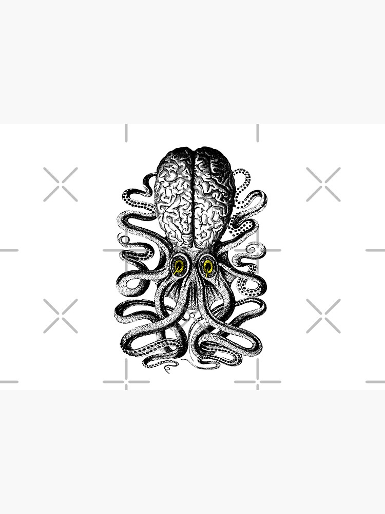 Release the Regular Brain Kraken by monsterplanet