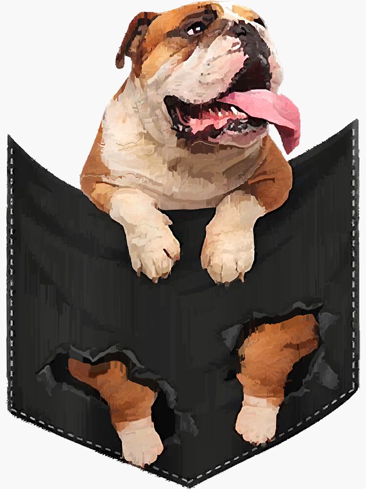 Pocket sales english bulldog