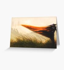 Vampire Hunter D; Castle Greeting Card