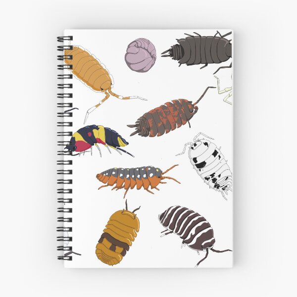 Item preview, isopods designed and sold by TateandDad.