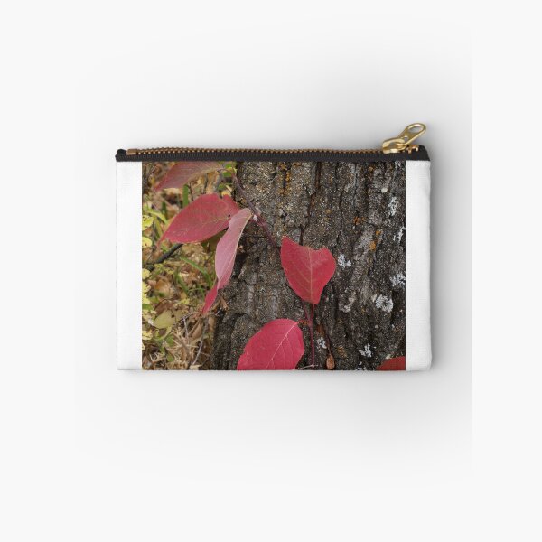 Item preview, Fall Foliage designed and sold by ldredge.
