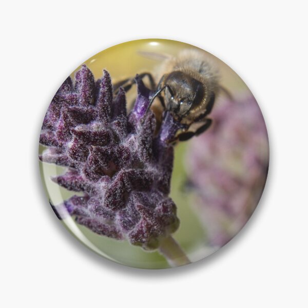 Aperçu de l'œuvre Photographie d'abeille macro créée et vendue par Artistic-Sins.