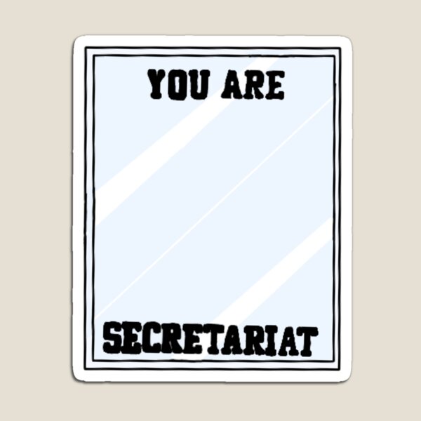 Eres Secretaria Imán