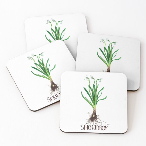 Item preview, Snowdrop botanical illustration designed and sold by Egle Kristensen.