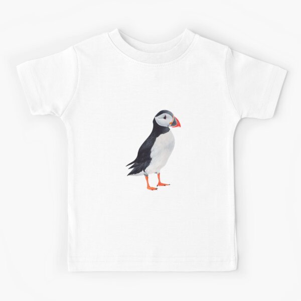 ATLANTIC PUFFIN-Fratercula arctica