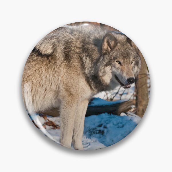 Artikelvorschau, Grauer Wolf entworfen und verkauft von Michael Cummings.