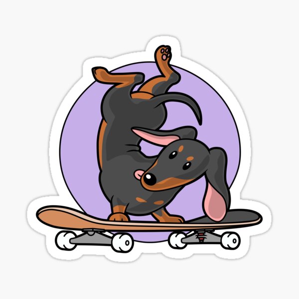 Black Dachshund Wiener Sausage Dog on Skateboard Sticker