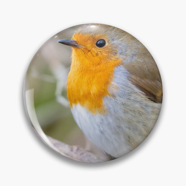 Item preview, Robin designed and sold by Philip Butler.