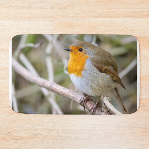 Item preview, Robin designed and sold by Philip Butler.