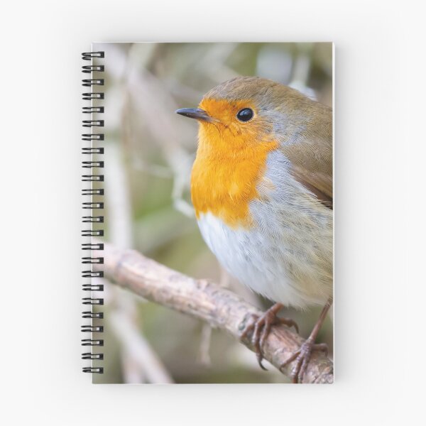 Item preview, Robin designed and sold by Philip Butler.