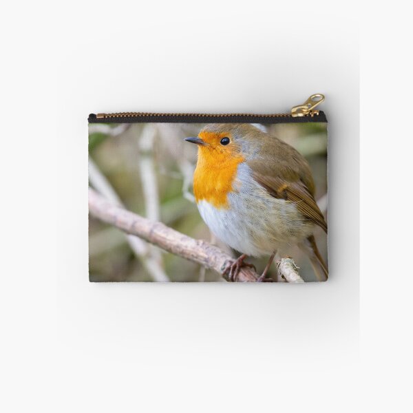 Item preview, Robin designed and sold by Philip Butler.