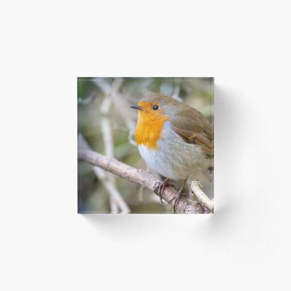 Item preview, Robin designed and sold by Philip Butler.
