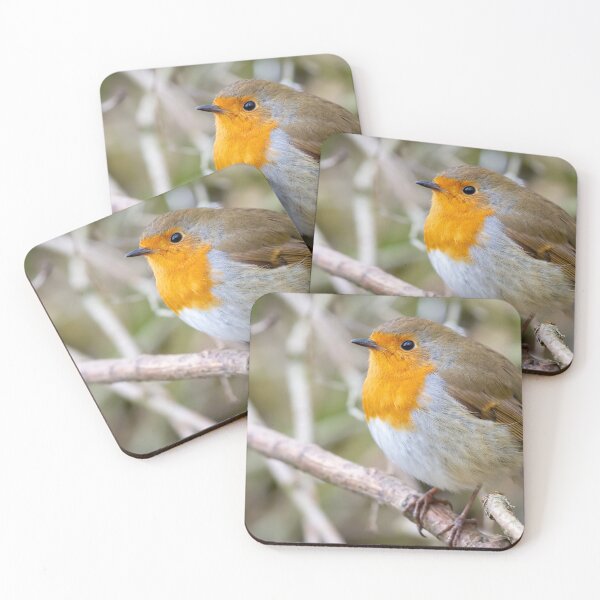 Item preview, Robin designed and sold by Philip Butler.