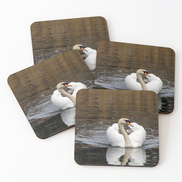 Item preview, Cisne mudo designed and sold by Philip Butler.