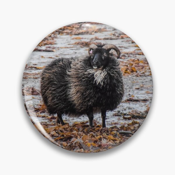 Item preview, ICELANDIC SHEEP-Iceland designed and sold by BEATRIZ ABAITUA.