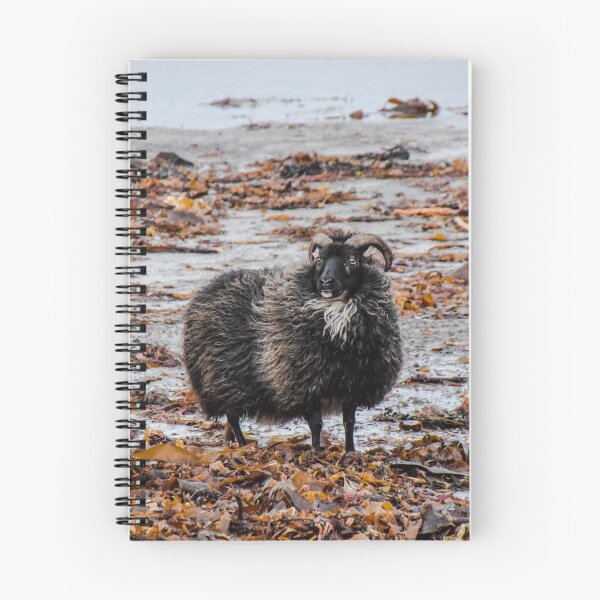 Item preview, ICELANDIC SHEEP-Iceland designed and sold by BEATRIZ ABAITUA.