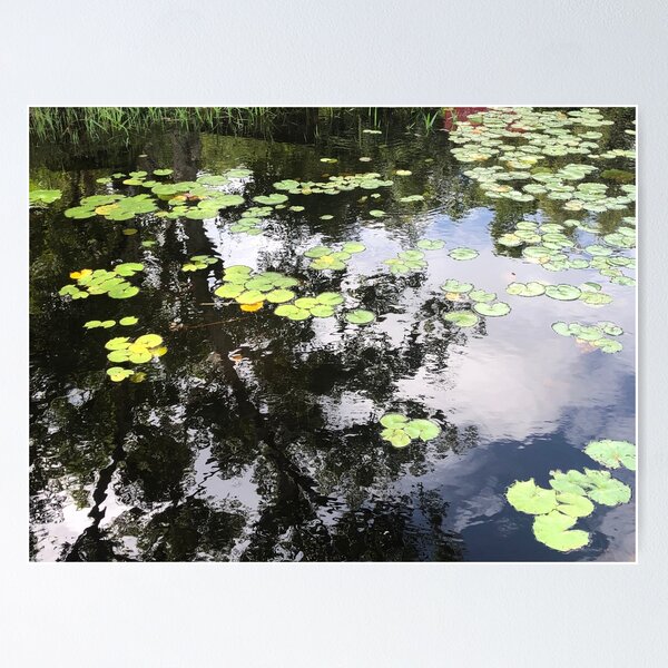 Item preview, The pond designed and sold by Bossmommy84.