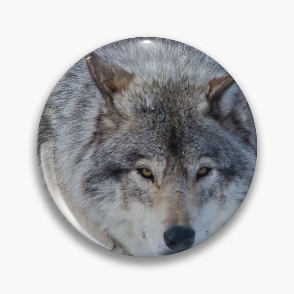 Artikelvorschau, Grauer Wolf entworfen und verkauft von Michael Cummings.