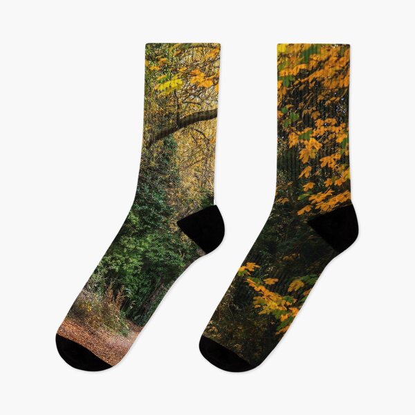 Item preview, Autumn Trail  designed and sold by ScenicViewPics.